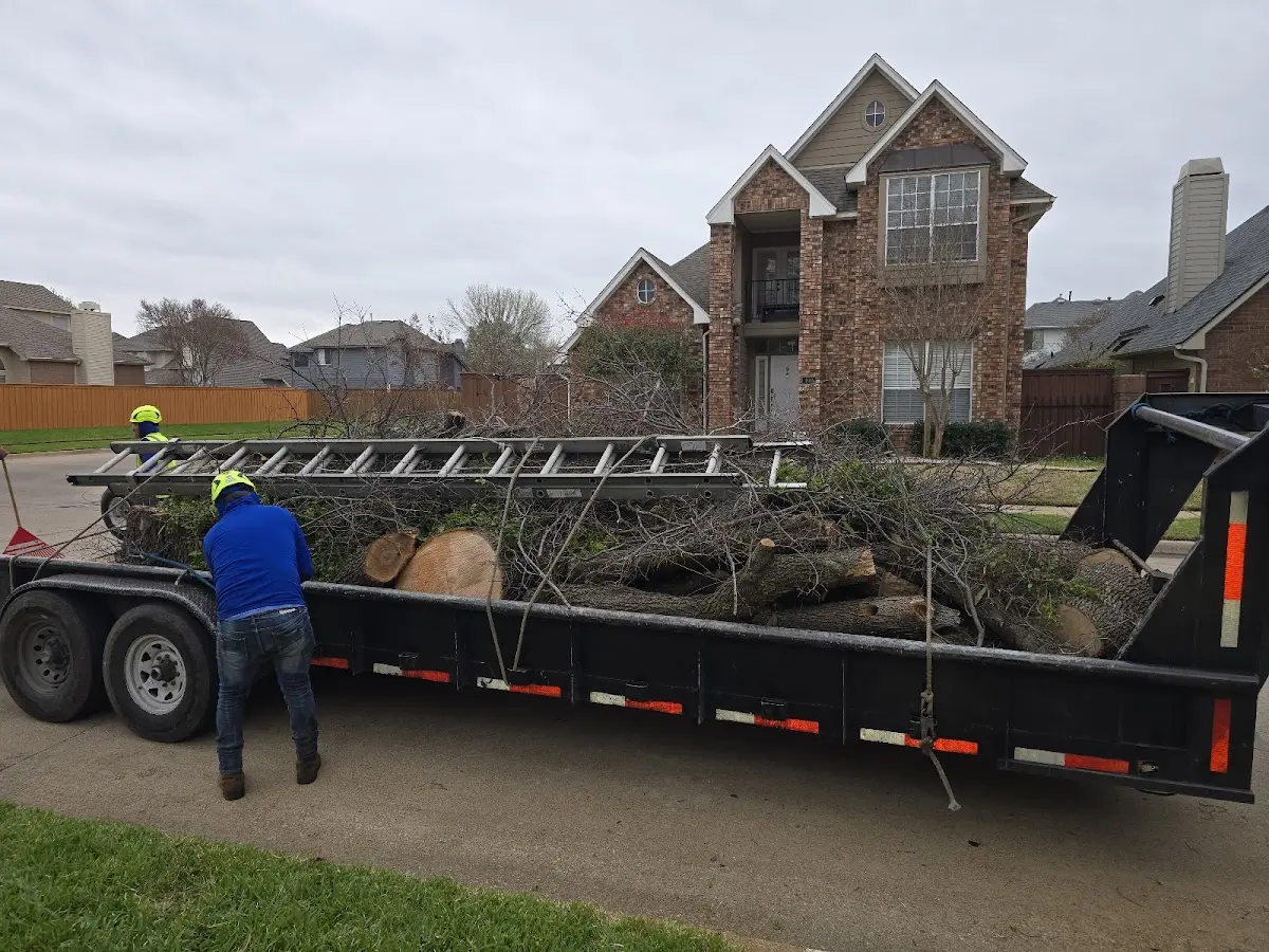 Expert Lot Clearing with proper safety equipment in Points